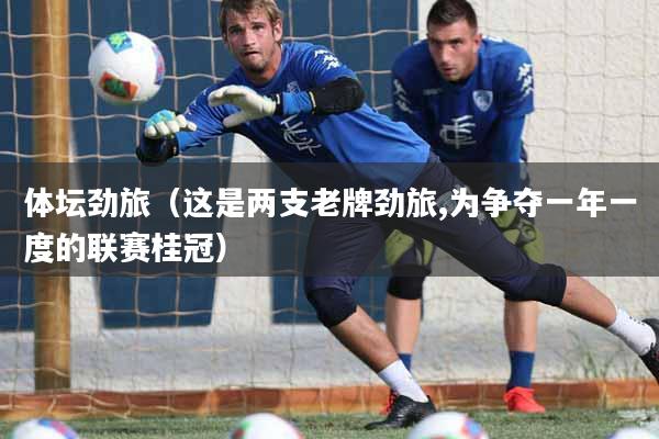 体坛劲旅（这是两支老牌劲旅,为争夺一年一度的联赛桂冠）