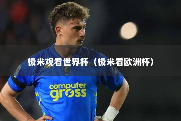 极米观看世界杯（极米看欧洲杯）