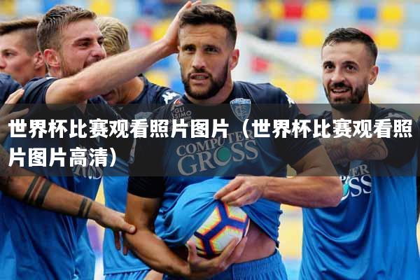 世界杯比赛观看照片图片（世界杯比赛观看照片图片高清）