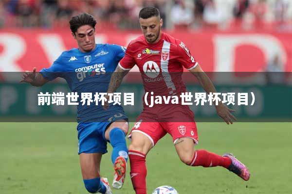 前端世界杯项目（java世界杯项目）