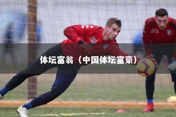 体坛富翁（中国体坛富豪）