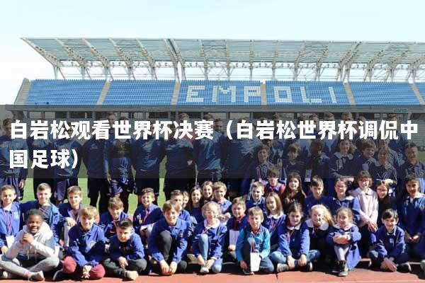 白岩松观看世界杯决赛（白岩松世界杯调侃中国足球）